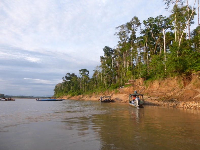 Andean Spirit Destinations Blog P1200109 Un Viaje a la Reserva de Tambopata Andean Spirit Destinations Blog P1200171 Un Viaje a la Reserva de Tambopata Andean Spirit Destinations Blog P1200203 Un Viaje a la Reserva de Tambopata Andean Spirit Destinations Blog P1200315 Un Viaje a la Reserva de Tambopata Andean Spirit Destinations Blog P1200451 Un Viaje a la Reserva de Tambopata Andean Spirit Destinations Blog P1200491 Un Viaje a la Reserva de Tambopata Andean Spirit Destinations Blog P1200504 Un Viaje a la Reserva de Tambopata Andean Spirit Destinations Blog P1200529 Un Viaje a la Reserva de Tambopata Andean Spirit Destinations Blog P1200545 Un Viaje a la Reserva de Tambopata Andean Spirit Destinations Blog P1200687 Un Viaje a la Reserva de Tambopata Andean Spirit Destinations Blog P1200665 Un Viaje a la Reserva de Tambopata Andean Spirit Destinations Blog P1200705 Un Viaje a la Reserva de Tambopata