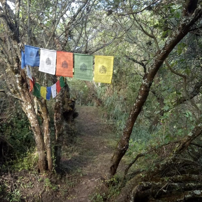 Andean Spirit Destinations Blog nosotros Andean Spirit Lodge Andean Spirit Destinations Blog IMG20200316145000 Andean Spirit Lodge Andean Spirit Destinations Blog IMG20200404152710 Andean Spirit Lodge Andean Spirit Destinations Blog dorm-2 Andean Spirit Lodge Andean Spirit Destinations Blog Buff-fronted-Owl-4-2 Andean Spirit Lodge Andean Spirit Destinations Blog sendero Andean Spirit Lodge